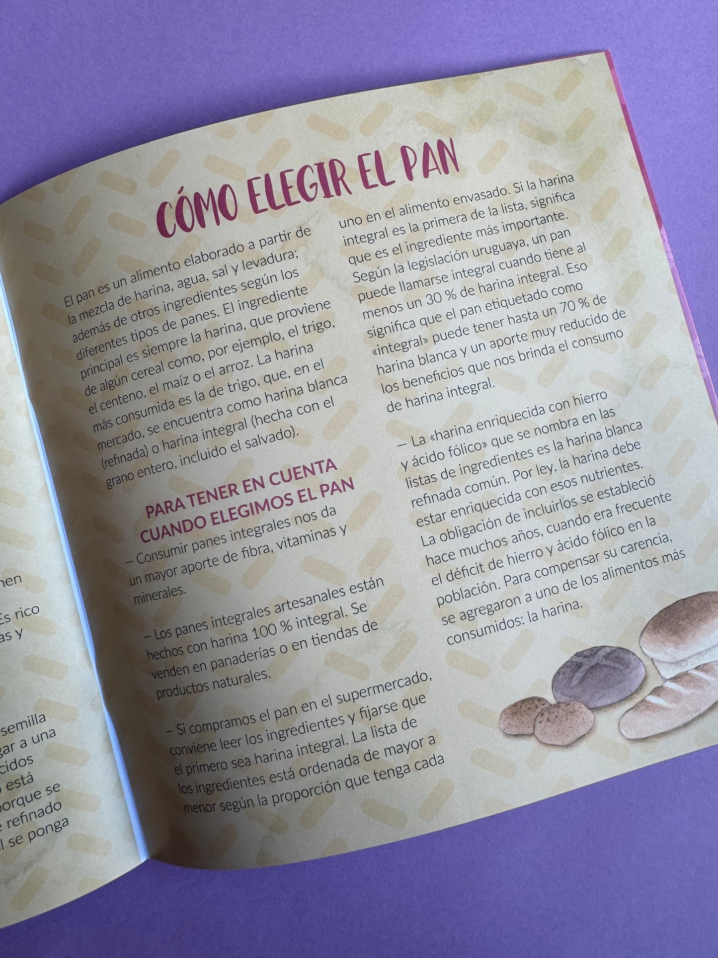 ¿Cómo se hace el Pan?